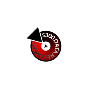 300dollardatarecovery brand logo for 300dollardatarecovery.com
