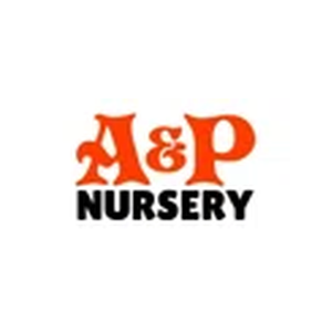 A&P Nursery brand logo for apnursery.com