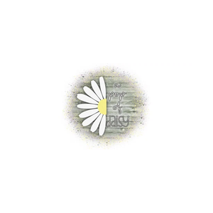 A Pop of Daisy brand logo for apopofdaisy.com