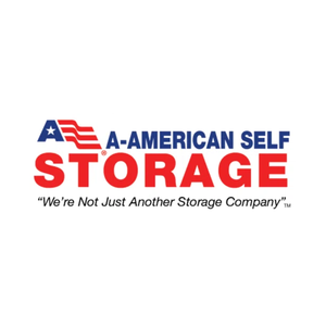 aamericanselfstorage brand logo for aamericanselfstorage.com