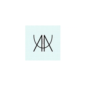aaustyle brand logo for aaustyle.com