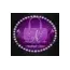 Amethyst Shoes brand logo for amethystshoes.com