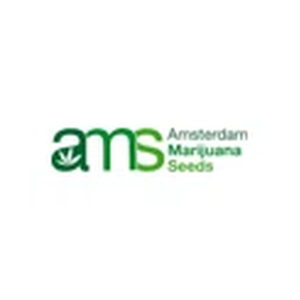 Amsterdam Marijuana Seeds brand logo for amsterdammarijuanaseeds.com
