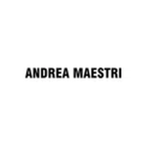 Andrea Maestri brand logo for andreamaestri.com