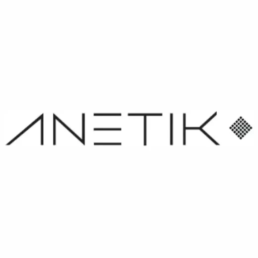 Anetik brand logo for anetik.com