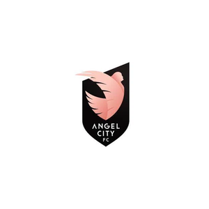 Angelcity brand logo for shop.angelcity.com