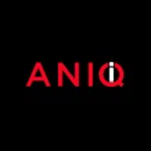 ANIQI brand logo for aniqi.com