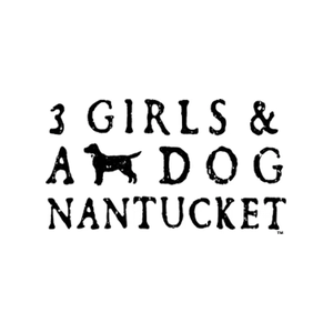 Annie and the Tees brand logo for annieandthetees.com