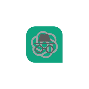 AnonChatGPT brand logo for anonchatgpt.com