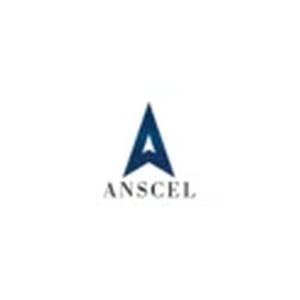 ANSCEL brand logo for anscel.com