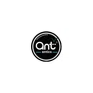 Ant Antics brand logo for antantics.wales