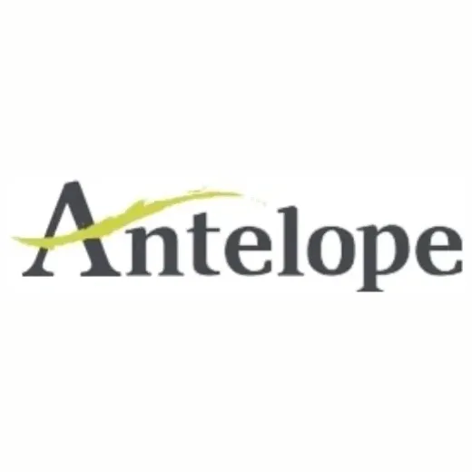 Antelope brand logo for antelopeshoes.com