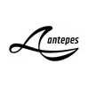 antepes brand logo for antepes.com