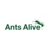 Ants Alive brand logo for antsalive.com