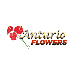anturioflower brand logo for anturioflower.com