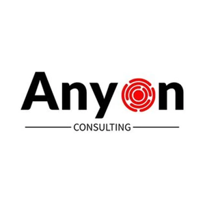 Anyon Consulting brand logo for anyonconsulting.com