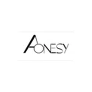 Aonesy brand logo for aonesy.com