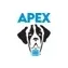 APEX Loyalty brand logo for apexloyalty.com