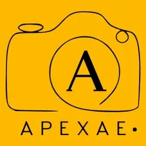 apexaecom brand logo for apexaecom.com