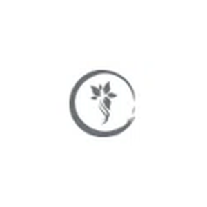 Apollo Spa & Wellness brand logo for apollospasd.com