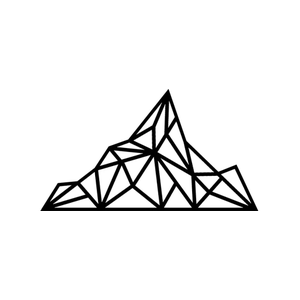 appappco brand logo for appappco.com
