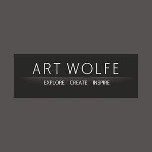 artwolfe brand logo for artwolfe.com