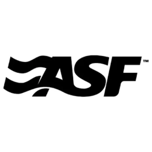 asfpaymentsolutions brand logo for asfpaymentsolutions.com