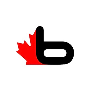 B Saunas brand logo for bsaunas.com