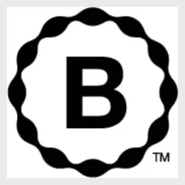 B-Strong brand logo for bstrong.training