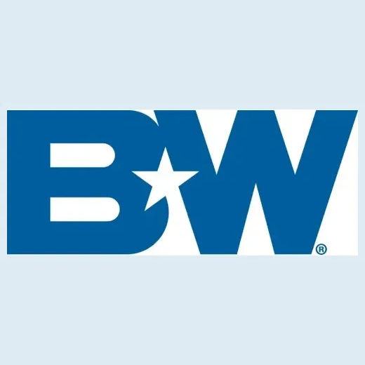 B&W brand logo for bwtrailerhitches.com