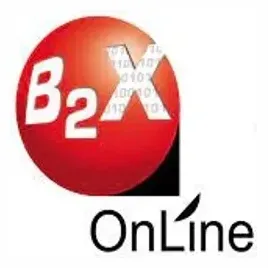 B2X brand logo for b2xonline.com