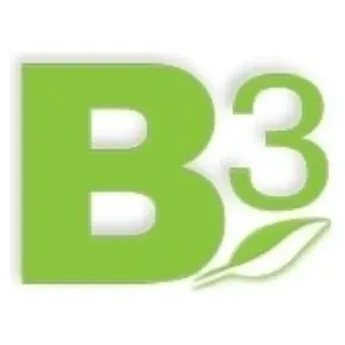 B3 brand logo for b3.net