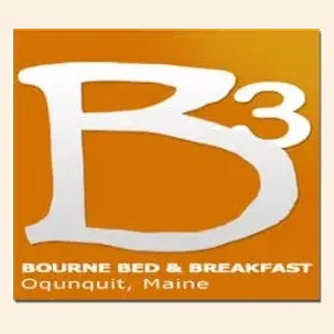 B3 OGT brand logo for b3ogt.com