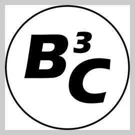 B3C Fuel Solutions brand logo for b3cfuel.com