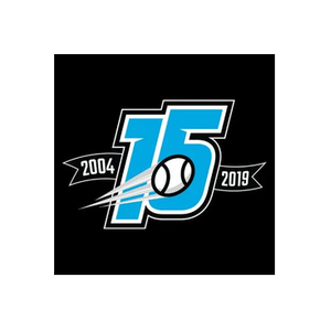 B45 brand logo for ca.b45baseball.com