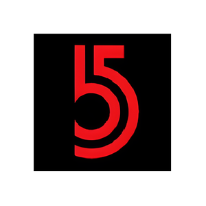 B5 brand logo for b5newyork.com