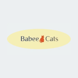 babeecats brand logo for babeecats.com
