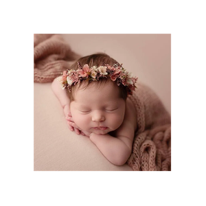 Baby Bliss Props brand logo for babyblissprops.com