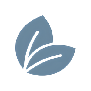 Baby Brightness brand logo for babybrightness.co.nz