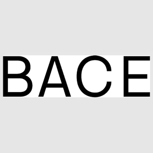 bace brand logo for bace.co