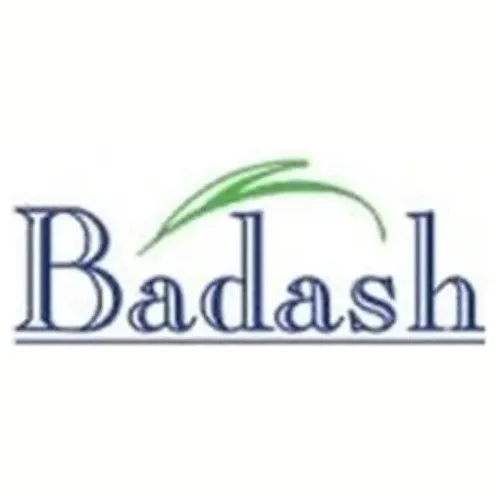 Badash Crystal brand logo for badashcrystal.com