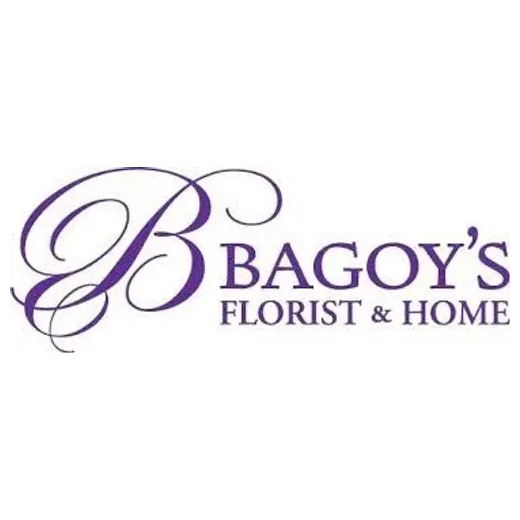 Bagoys brand logo for bagoys.com