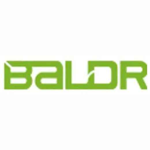Baldr Electronic brand logo for baldrelectronic.com