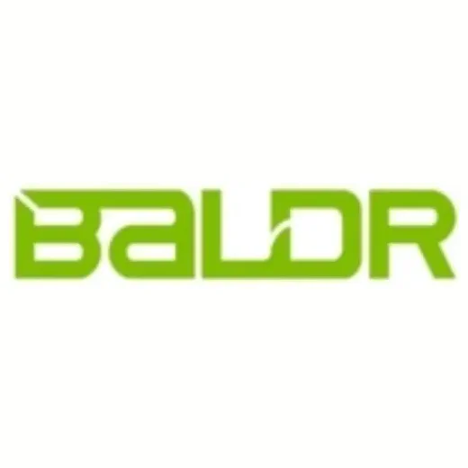 BALDR brand logo for baldr.com