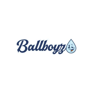 Ball Boyz brand logo for ballboyzsoap.com