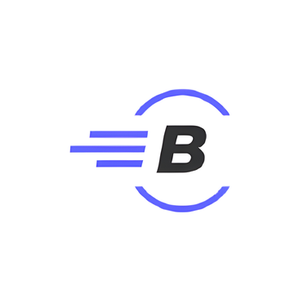 Ball Fitting brand logo for ballfitting.com