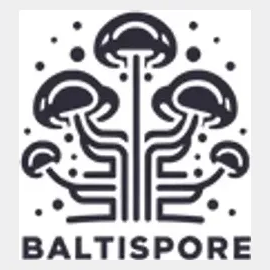 Baltispore brand logo for baltispore.com