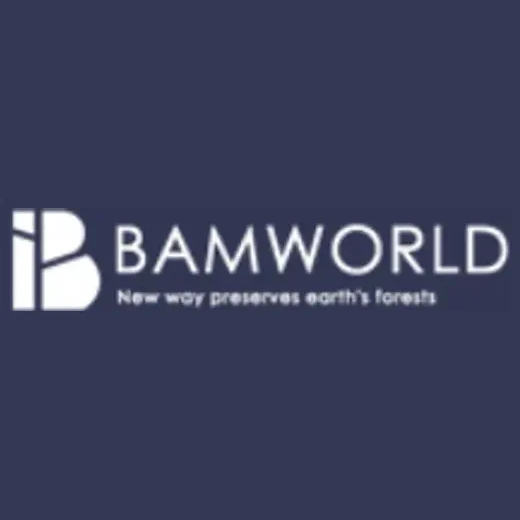Bam World brand logo for bamworld.store