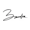 Bamba Swim brand logo for bambaswim.com