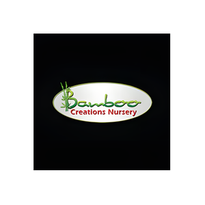 Bamboo Creations brand logo for bamboocreationsvic.com.au